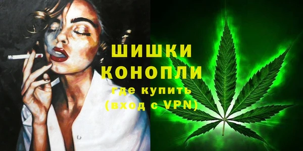 спайс Магас