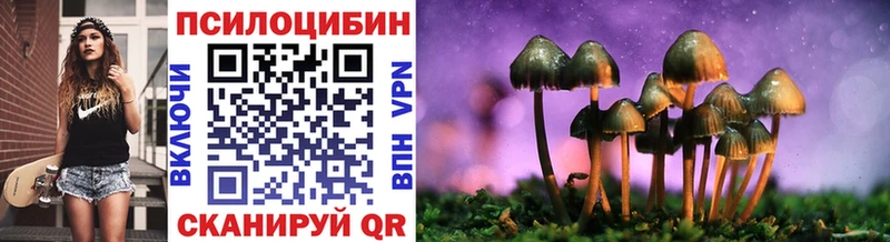 Купить закладки  Советск  Псилоцибиновые грибы MAGIC MUSHROOMS 